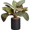 Kwantum Kunstplant Calathea Groen